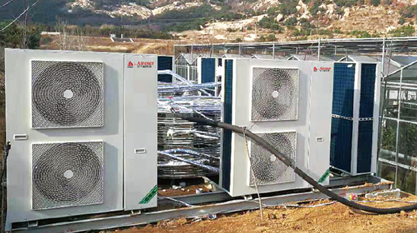 1639815226399396.jpg 0.jpg