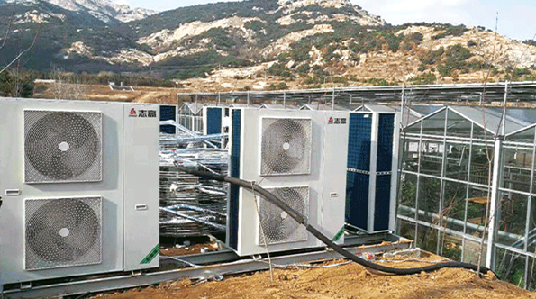 七彩鳳凰農(nóng)業(yè)觀光園大棚養(yǎng)殖